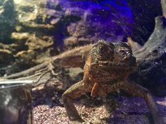 热带生物展览厅-正佳极地海洋世界