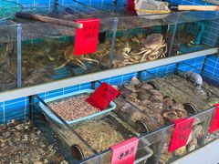 -金海湾海鲜排档(朱家尖店)