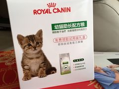 -瑞派长江宠物医院·猫科·外科·24小时夜护(谊城公寓分院)