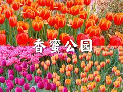 -深圳湾公园(南山区)