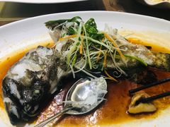 鲚鱼-轩记海鲜餐厅·四十五年老字号·经典粤菜(西区彩虹店)