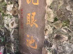 -东天目山风景区