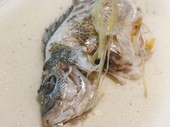 -花城苑广府菜(侨鑫店)
