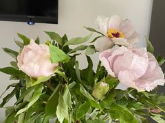 -盒马鲜生(莱蒙都会店)