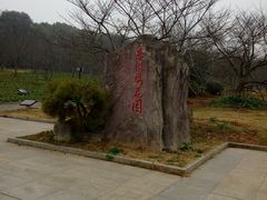 -东湖磨山景区樱花园-停车场