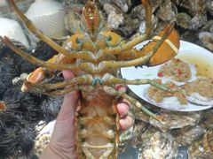 -港畔赶海蒸汽海鲜烧烤自助(仙螺岛店)