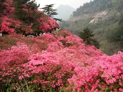 -木兰云雾山
