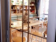 -MOYOYO猫咪咖啡店