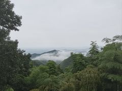 -莫干山风景区