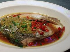 剁椒鱼头-大碗厨 25年老字号 现炒湘菜(四季天地店)