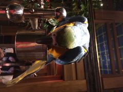 iphone_upload_pic-那家小馆•北京菜•烤鸭(中关村店)