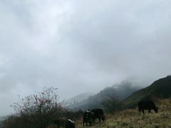 -硗碛藏寨·神木垒景区