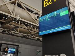 -广州白云国际机场-T1航站楼