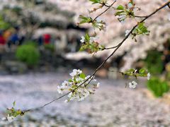 -上海鲁迅公园