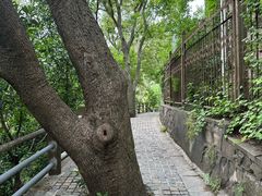 -紫金山天文台