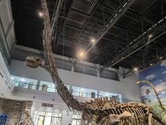 -自贡恐龙博物馆