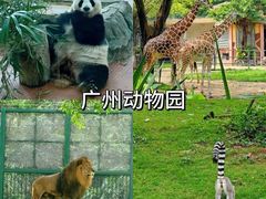 -大佛古寺