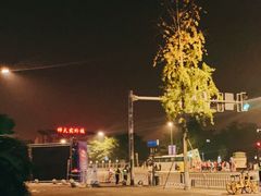 -金沙遗址博物馆