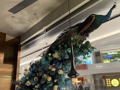 -雀蓝川菜(滨湖万象汇店)