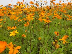 -迪茵湖田家舍生态农场