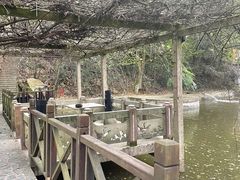 -天怡·鱼工厂(梅溪湖店)