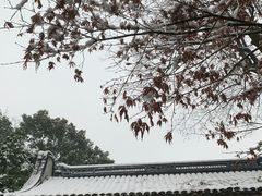 -惠山古镇·寄畅园