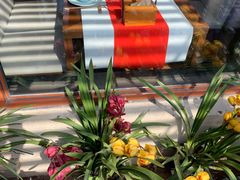 -荷风细雨·中国茶宴(碧云店)