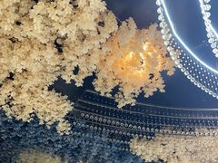 -普天和酒楼(天津之眼店)