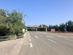 -金塔沙漠胡杨林景区