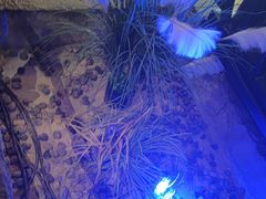 -绿茶餐厅(昆明世纪金源店)