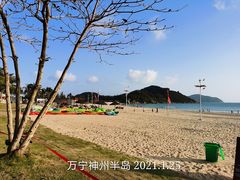 -采悦轩中餐厅·粤菜·海南菜(神州半岛喜来登度假酒店)