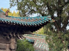 -窦大夫祠