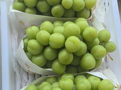 -马陆小张葡萄园农家乐