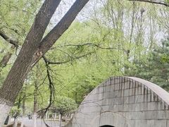 -长白岛森林公园