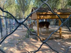 -长白岛森林公园