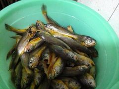 android_upload_pic-阿明烧烤·烤鱼·小龙虾(水清路店)