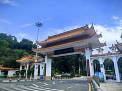 -深圳仙湖植物园