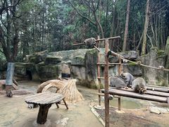 -杭州野生动物世界