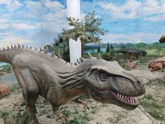-吉林省自然博物馆