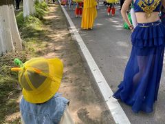 -黄海国家森林公园