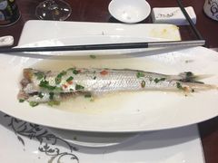 刀鱼-莆鑫海鲜城(浏河店)