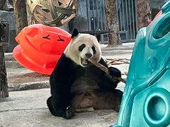-武汉动物园
