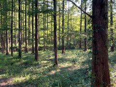 -小格里自然风景区
