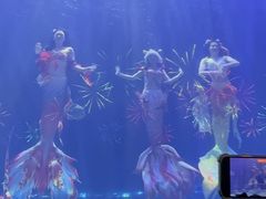 -华夏文旅海洋公园