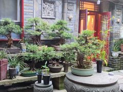 -老张烤羊(王哥庄店)