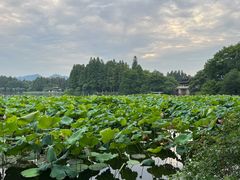 -印象西湖·最忆是杭州实景演出