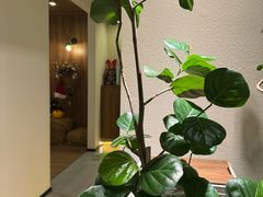 -The Good Place好地方·Brunch·coffee(国贸店)