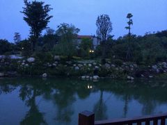 -龙山酒店温泉
