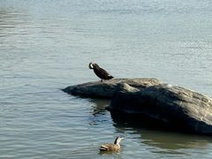 -海珠湖公园