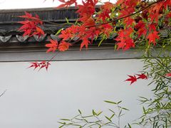 -秋霞圃